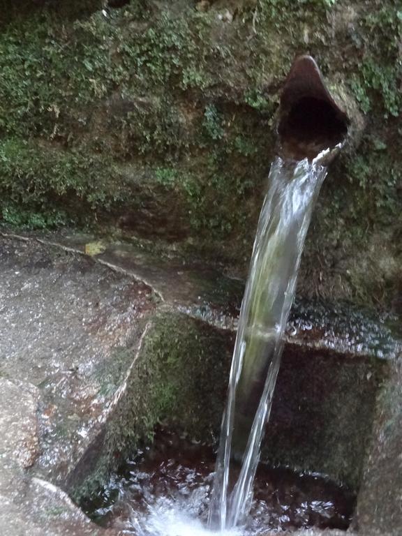 Dia Apartman Miskolc Dış mekan fotoğraf