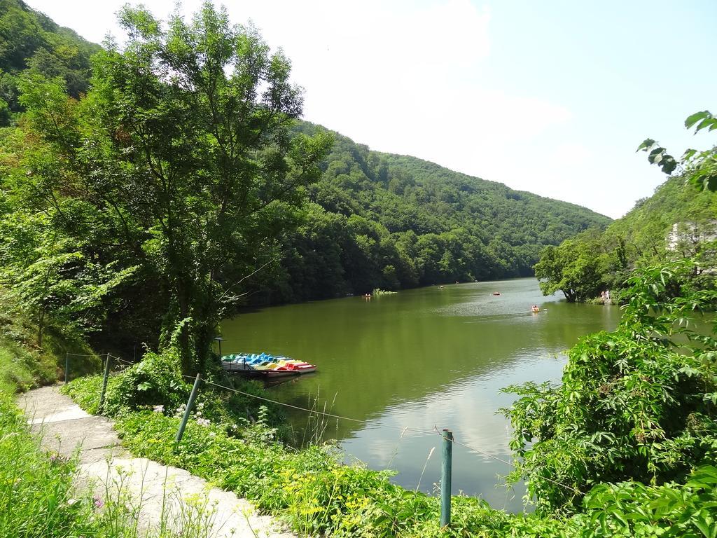 Dia Apartman Miskolc Dış mekan fotoğraf