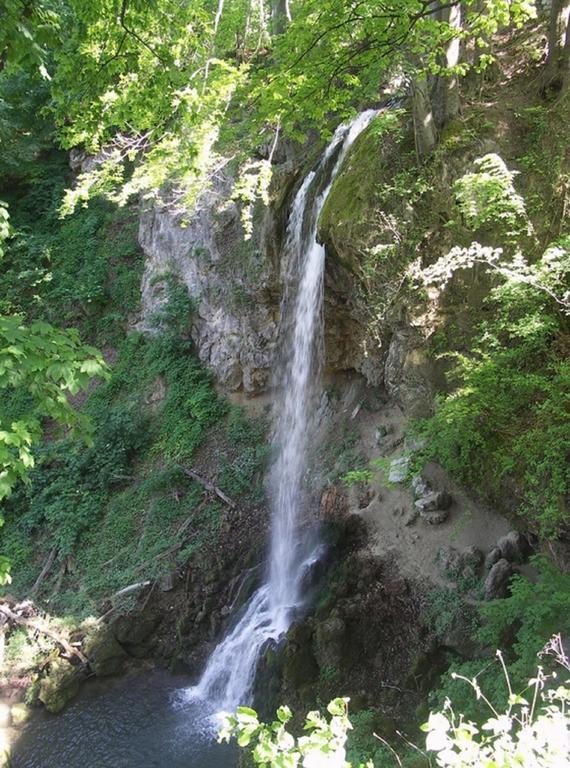 Dia Apartman Miskolc Dış mekan fotoğraf