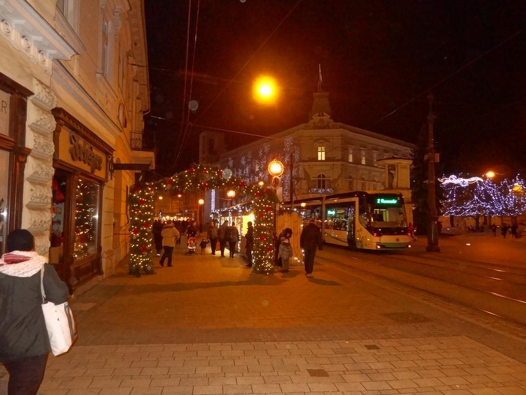 Dia Apartman Miskolc Oda fotoğraf